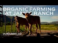 James Ranch 3 Decades of Generational Farming along the Million Dollar Highway