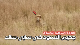 الاسود بياكلوا بعض خمس تحالفات يتصارعون على الحكم عودة اساطير الاسود الحلقه 1 