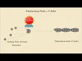 Microfilaments Structure Assembly and Function