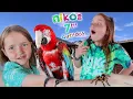 Download Lagu HOLDiNG CRAZY ANiMALS at NiKOS 7th BDAY!!  Adley helps me Surprise Niko with dangerous snakes \u0026 bugs