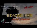 Download Lagu BIDADARI HATI - MAULANA ARDIANSYAH - FULL COVER