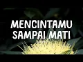 utopia - mencintamu sampai mati - yellow lirik