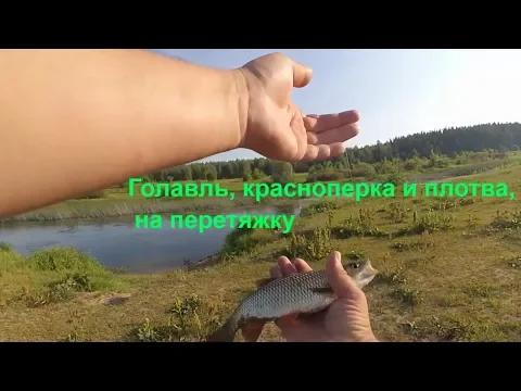 Рыбалка на перетяжку