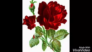 اغنية الفنان عبدكيوكا 