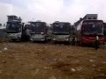 Download Lagu HEBOH! Perang Klakson Bus Pariwisata Scorpion Holidays Dan Mustika Holidays