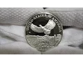 2000 American Eagle Platinum Proof Coin 1 Oz