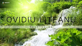 trimite m ovidiu liteanu vol 4