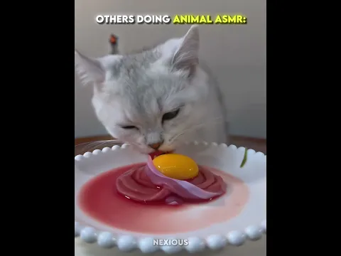 Others Doing Animal ASMR VS Wolf ASMR 🔥☠️
