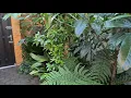 Download Lagu Jungle garden Holland