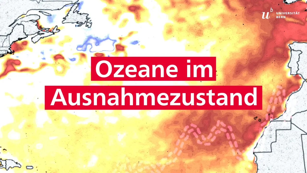 Ozeane im Ausnahmezustand