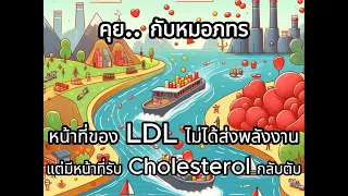  ลิปโปรตีนที่มีชื่อว่า LDL มีหน้าที่หลักอย่างไรในร่างกาย 