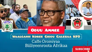 Oromummaa Tube Waalgahii Koree Giddu Galesaa KFO Caffe Oromiyaa Biiliyeenroota Afrikaa 
