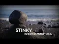Download Lagu STINKY - KUBANGGA MENCINTAIMU | LYRICS
