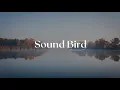Kasbo - Lune (ft. Vancouver Sleep Clinic)
