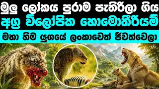 මහා හිම යුගයේ ලෝකයටම ගිය දැවැන්ත බළලා | Story of Homotherium 