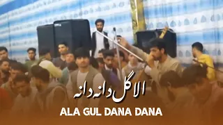 آهنگ جدید فهیم پروانی الا گل دانه دانه Fahim Parwani Ala Gul Dana Dana 