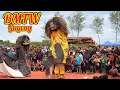 Download Lagu Opening barongan BMTW gayeng live Jungsemi Kangkung Kendal