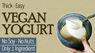 1 single ingredient easy thick vegan yogurt soy free nut free