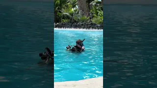 No video this week because we have been doing all things SCUBA in Fiji! New video out Thursday!