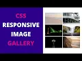 Responsive Image Gallery with HTML CSS Flexbox