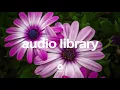 Discotek - Silent Partner | No Copyright Music YouTube - Free Audio Library