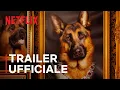 Video di I milioni di Gunther | Il cane più ricco del mondo | Trailer ufficiale | Netflix