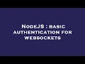NodeJS basic authentication for websockets