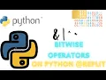 Bitwise operators easy python programming