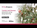 Tomato Leaf Disease detection using deep learning