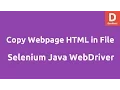 Write pagesource HTML into file Selenium Java