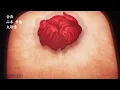 Gabimaru: The Hollow [Jigokuraku: Hell's Paradise AMV] - Royalty 👑