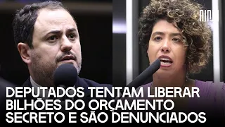 🔥Deputados tentam manter orçamento secreto e mamatas! Glauber Braga e Talíria denunciam o golpe!🔥
