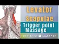 Trigger Point Massage of Levator Scapulae
