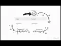 Foundation Intro to python Quiz 1 Oct 26 2025 AN Q no 3