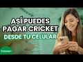 PAGA Cricket desde tu CELULAR
