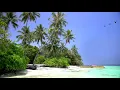 Lagu 🌴 Tropical Island View with Beautiful White Sand Beach, Relaxing Ocean Waves and Waving Palm Trees.