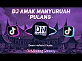 Download Lagu DJ MINANG SANTUY || AMAK MANYURUAH PULANG || Sri Fayola \u0026 Jamal