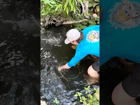 I Found a Monster in My Pond! #fish #fishing #turtle #reptile #animals