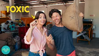 Inside The Philippines Most Dangerous Wild Food