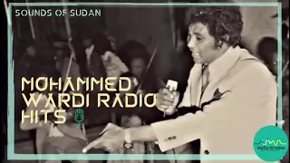 محمد وردي أمير الحسن 