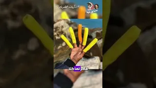 الجزء ال 12 ذكريات الطفوله كلنا عملناها حرفيا ذكريات الطفولة اكسبلور Explore 