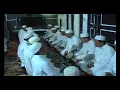 Nasyid Zikir Ar Raudhah Sekumpul Martapura, 30 Juli 2010