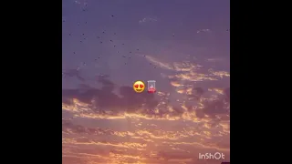 صعيبة نكمل معاك تيرارارا    ابينو اعمري    اكسبلور لايك تصميم فيديوهات  دندنها