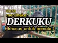 Download Lagu Tips/cara menjinakan burung derkuku bagi pemula