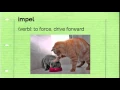 Vocab Level D Unit 9