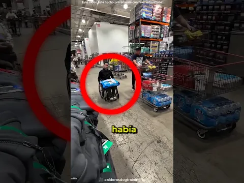 El Perro Ayudante Leal 😍