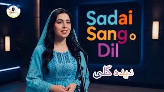 Dida Guli دیده گلی New Official Hazaragi Song 2025 Sadai Sang O Dil 