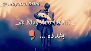 الموسيقار محمد الامين حالات واتساب 