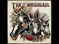 Download Lagu Tex and The Horseheads - S/T - 1984 full album