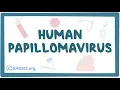 Human papillomavirus or HPV